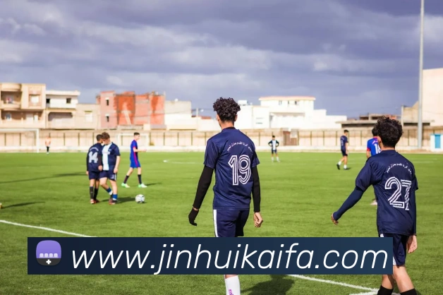 凯发K8平台生态图